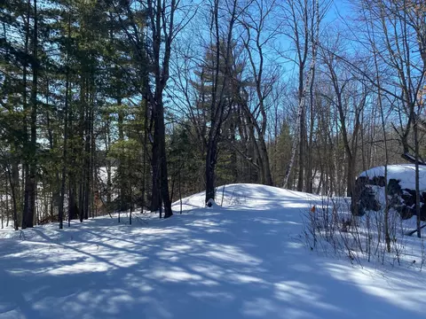 tbd Deep Woods Rd, Orr, MN 55771 photo 40