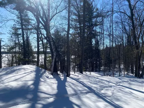 tbd Deep Woods Rd, Orr, MN 55771 photo 42
