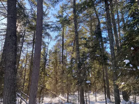 tbd Deep Woods Rd, Orr, MN 55771 photo 55