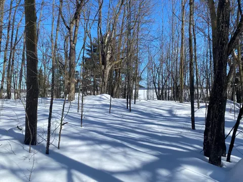 tbd Deep Woods Rd, Orr, MN 55771 photo 44