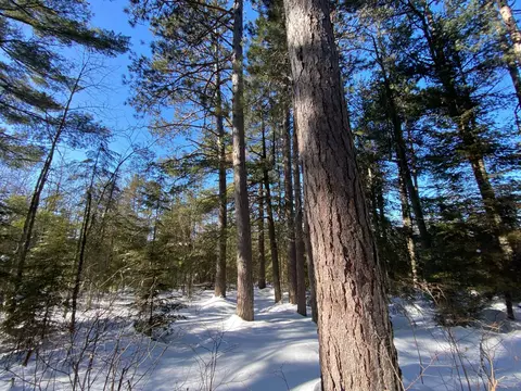 tbd Deep Woods Rd, Orr, MN 55771 photo 56