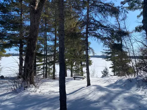 tbd Deep Woods Rd, Orr, MN 55771 photo 18
