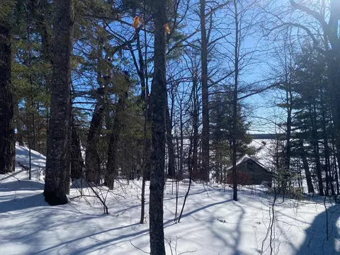 tbd Deep Woods Rd, Orr, MN 55771 photo 50