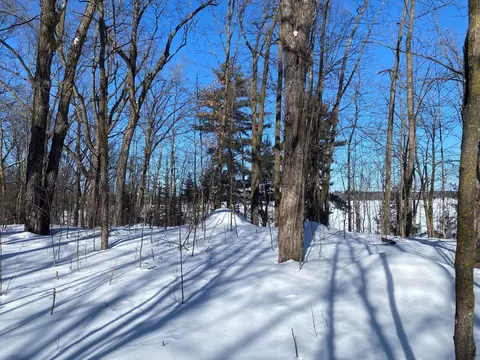 tbd Deep Woods Rd, Orr, MN 55771 photo 46