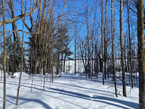 tbd Deep Woods Rd, Orr, MN 55771 photo 45