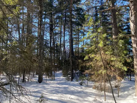 tbd Deep Woods Rd, Orr, MN 55771 photo 73