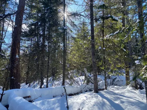 tbd Deep Woods Rd, Orr, MN 55771 photo 54