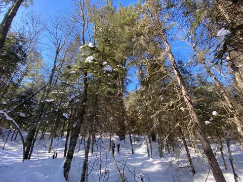 tbd Deep Woods Rd, Orr, MN 55771 photo 80