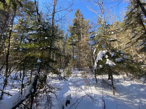 tbd Deep Woods Rd, Orr, MN 55771 photo 77