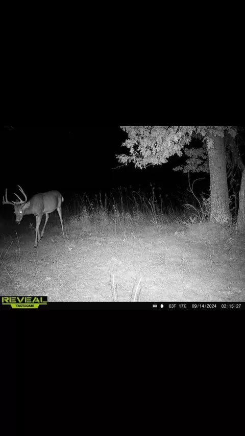 Nnn Gould Gray Road N, Brainerd, MN 56401