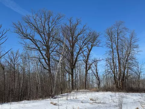15 Hines Rd NE # A, Blackduck, MN 56630