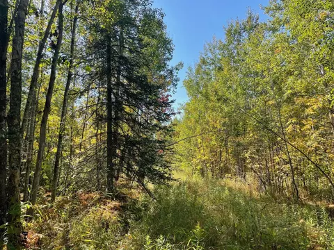 tbd County Rd 83, Greenway Twp, MN 55775