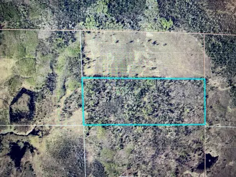 tbd County Road 525, Effie, MN 56639