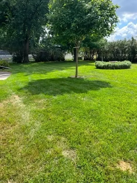 641 16th St, Windom, MN 56101 photo 23