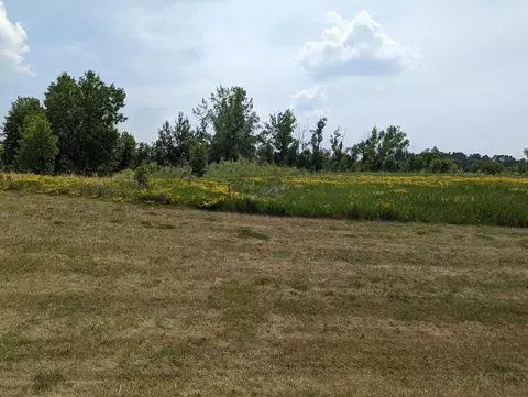 Null Lot 3 Blk 2 Geneva Golf Club Drive, Alexandria, MN 56308