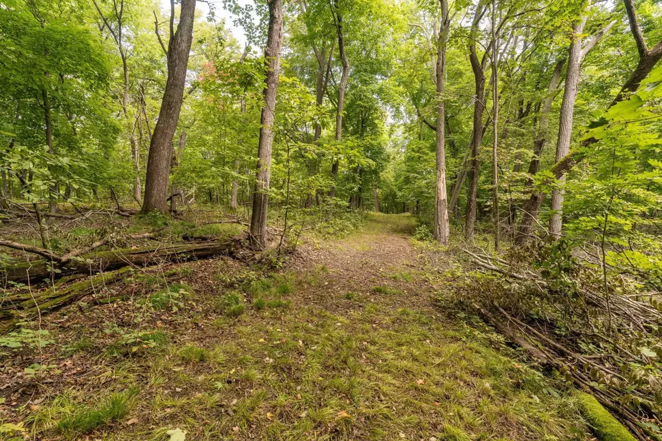  lot4 407th St N, Dent, MN 56528 photo 22