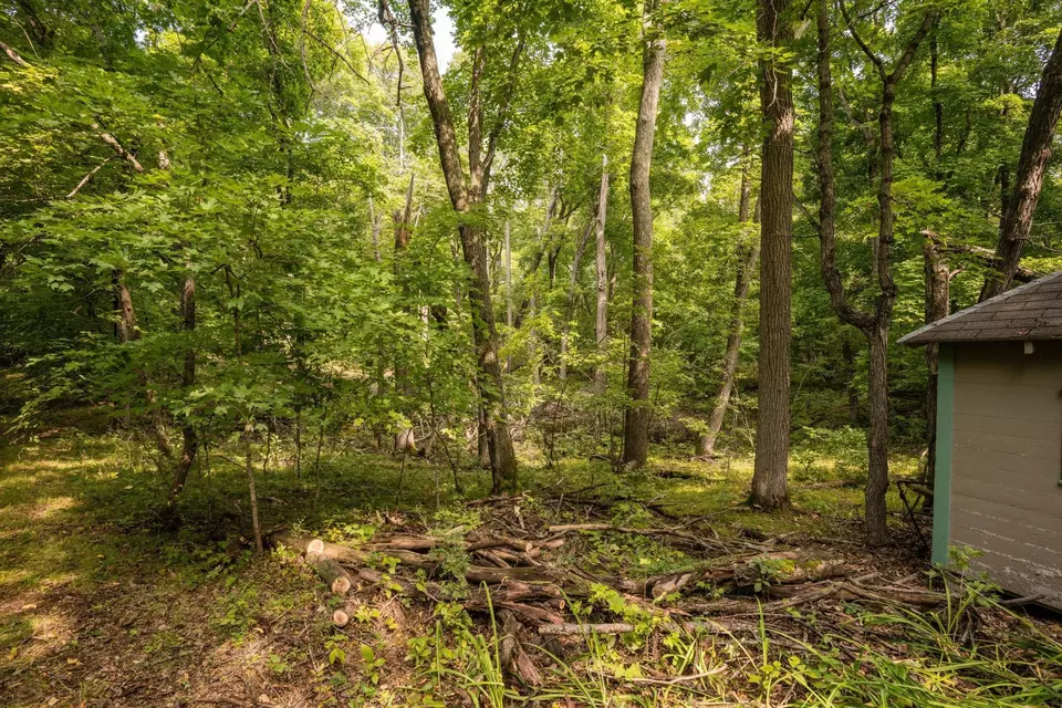  lot4 407th St N, Dent, MN 56528 photo 21