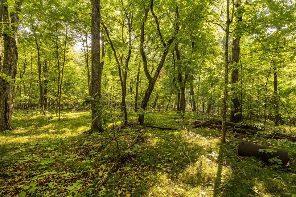  lot4 407th St N, Dent, MN 56528 photo 8