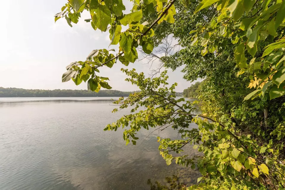  lot4 407th St N, Dent, MN 56528 photo 6