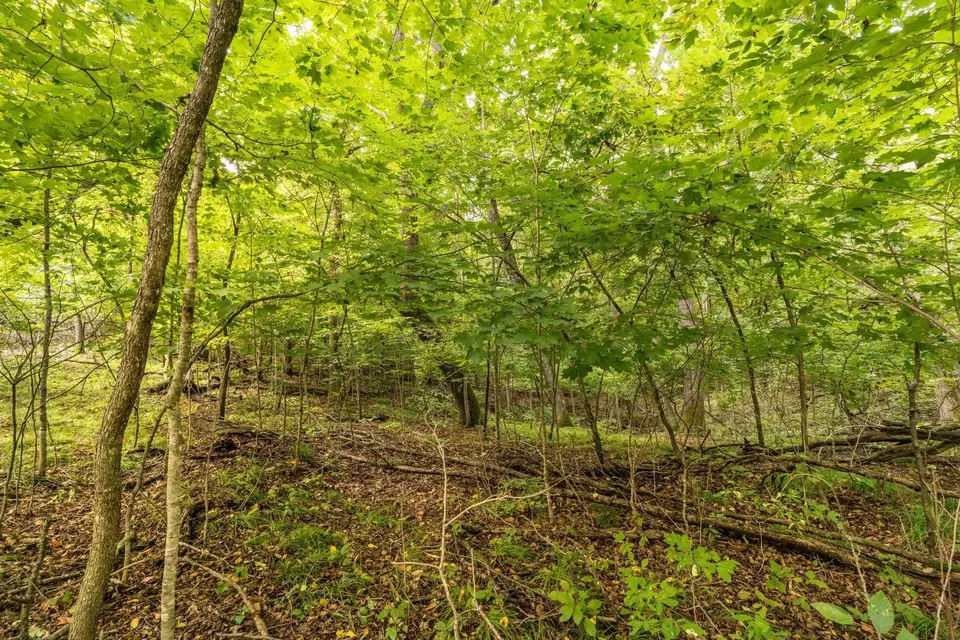  lot4 407th St N, Dent, MN 56528 photo 11