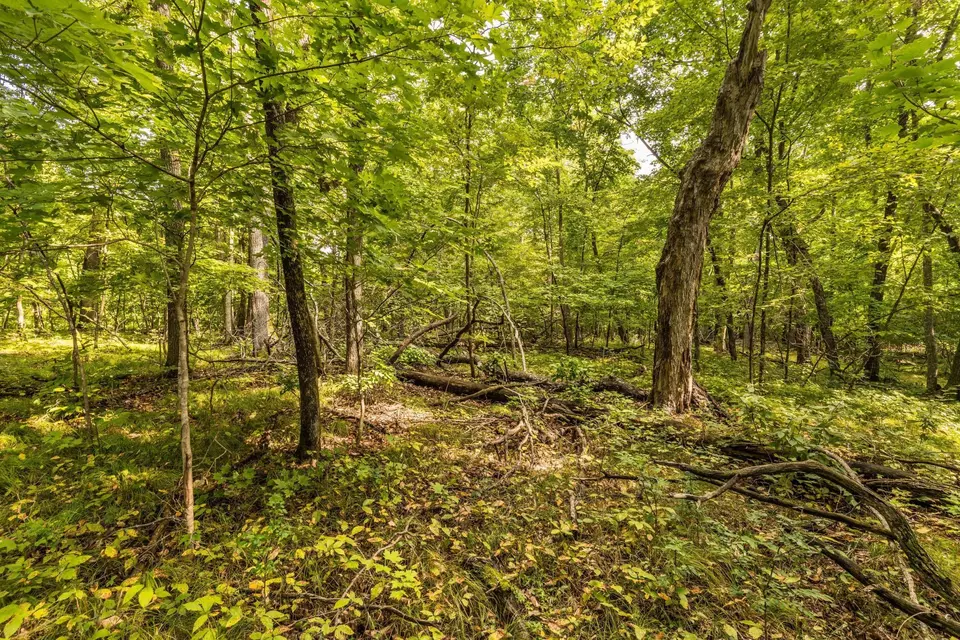  lot4 407th St N, Dent, MN 56528 photo 9