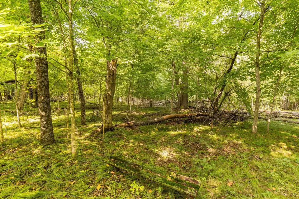  lot4 407th St N, Dent, MN 56528 photo 13