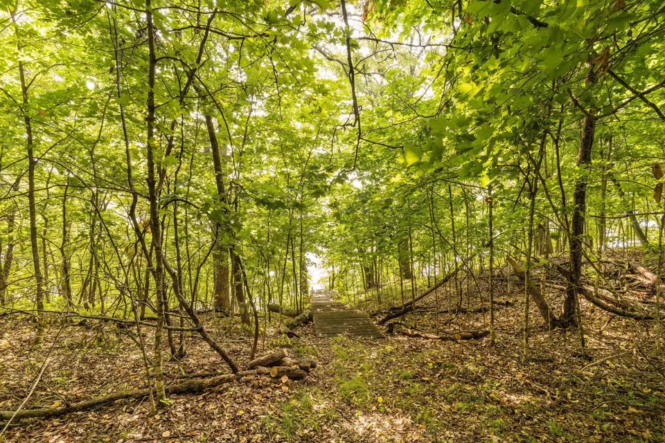  lot4 407th St N, Dent, MN 56528 photo 19