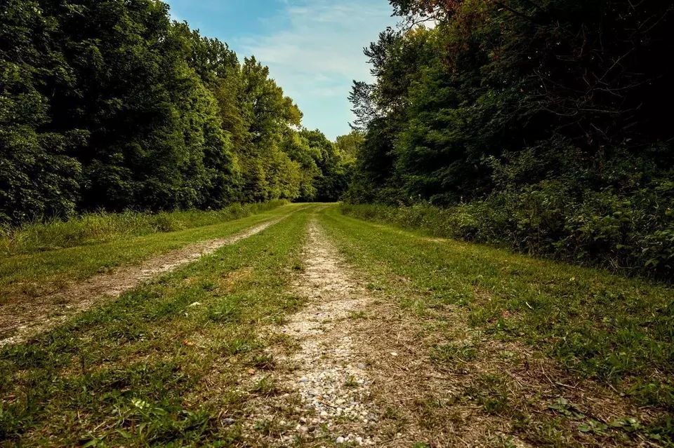  lot4 407th St N, Dent, MN 56528 photo 35