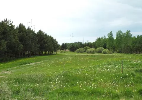12557 150th Ave, Foreston, MN 56330