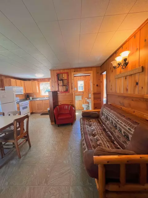Living - 35686 Rush Lake Loop #4, Ottertail, MN 56571 photo 1 of 1