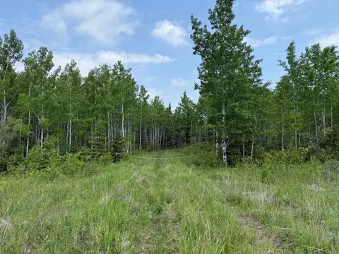 2425 Hwy 217, Ray, MN 56669 photo 3