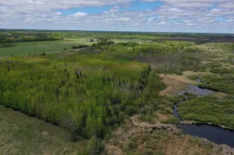 2425 Hwy 217, Ray, MN 56669 photo 2