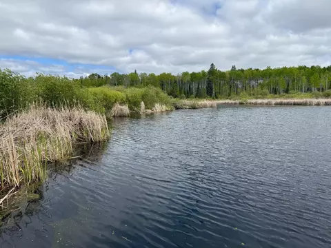 2425 Hwy 217, Ray, MN 56669 photo 14