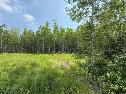 2425 Hwy 217, Ray, MN 56669 photo 9