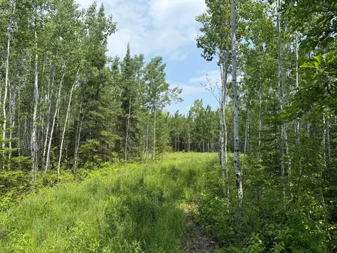 2425 Hwy 217, Ray, MN 56669 photo 8