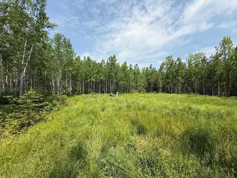 2425 Hwy 217, Ray, MN 56669 photo 11