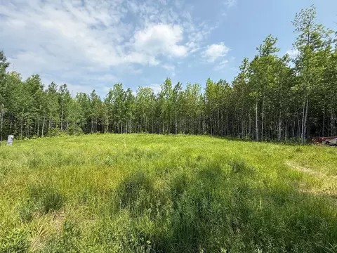 2425 Hwy 217, Ray, MN 56669 photo 10