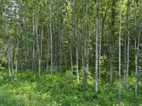 2425 Hwy 217, Ray, MN 56669 photo 13