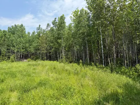 2425 Hwy 217, Ray, MN 56669 photo 12