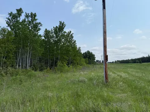 2425 Hwy 217, Ray, MN 56669 photo 5