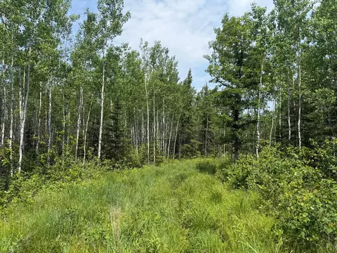 2425 Hwy 217, Ray, MN 56669 photo 6