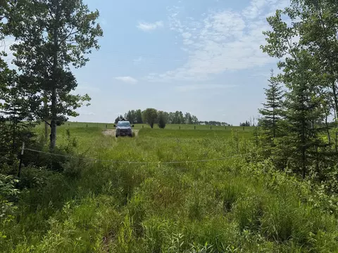 2425 Hwy 217, Ray, MN 56669 photo 7