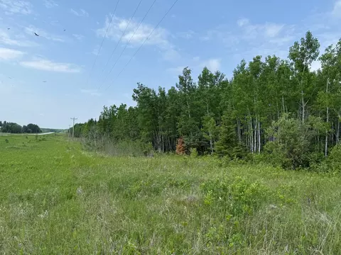 2425 Hwy 217, Ray, MN 56669 photo 4