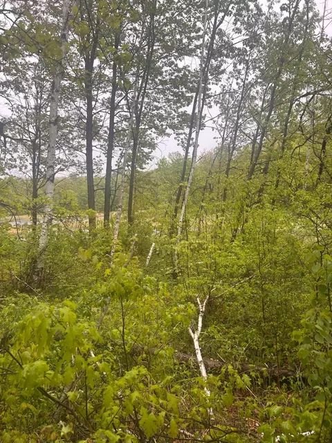 Nnn Cardinal Trail, Randall, MN 56475
