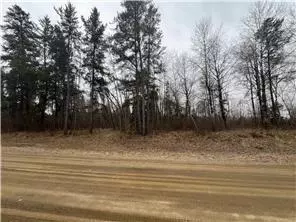 tbd Birdsview Ln NW, Bemidji, MN 56601