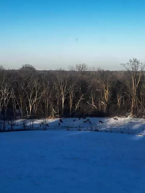 12192 210th St, Cold Spring, MN 56320 photo 6