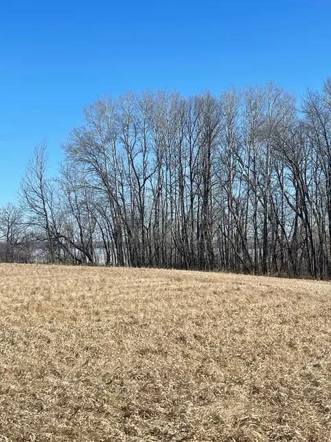 Nnnn Lake Ida Way Nw, Alexandria, MN 56308