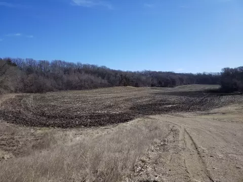 Nnnn 568th Avenue, Decoria Twp, MN 56001