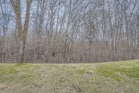 8509 124th Ln N, Champlin, MN 55316 photo 31