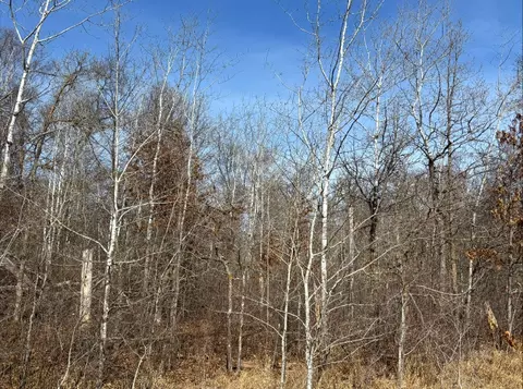 tbd Ski Chalet Dr, Breezy Point, MN 56472